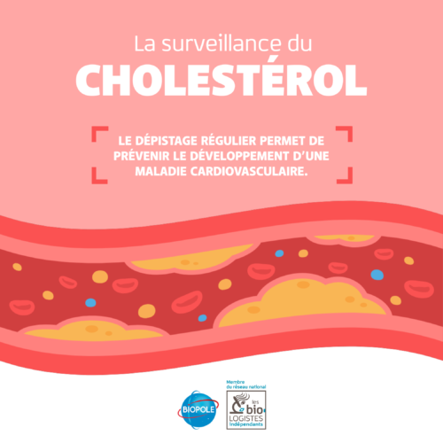 Cholestérol